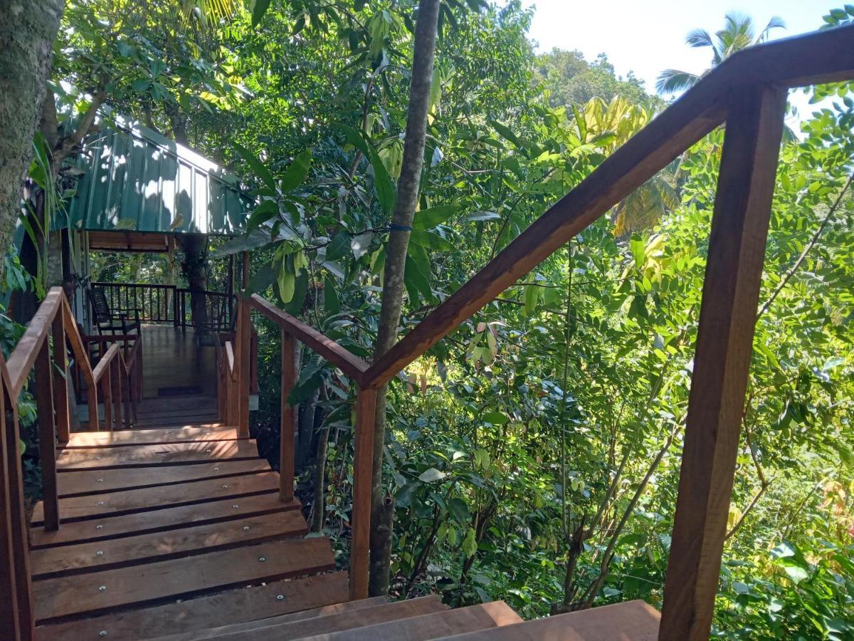 Cinnamon View Lodge Mirissa Exterior foto