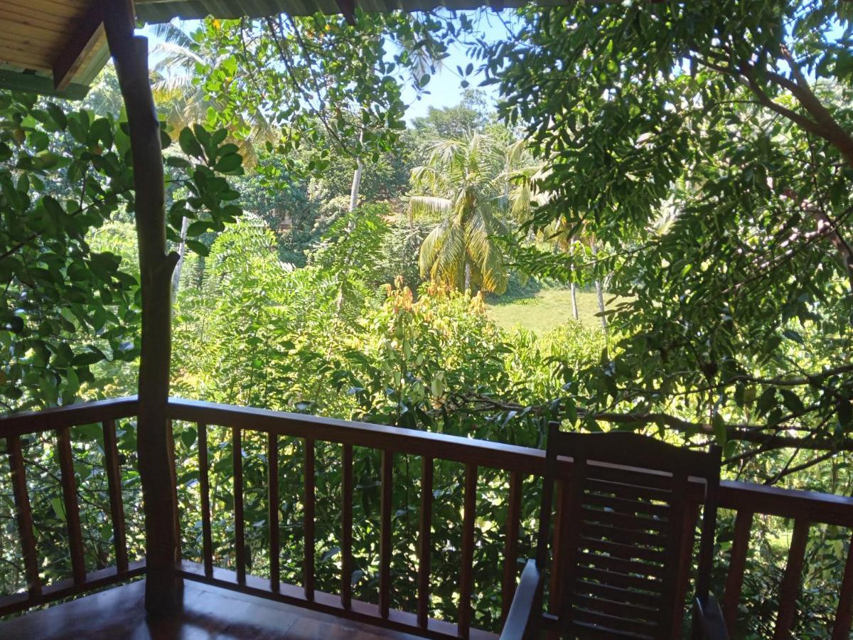 Cinnamon View Lodge Mirissa Exterior foto