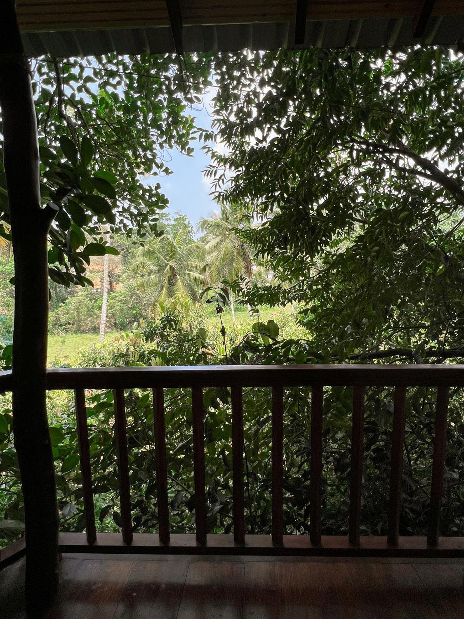 Cinnamon View Lodge Mirissa Zimmer foto