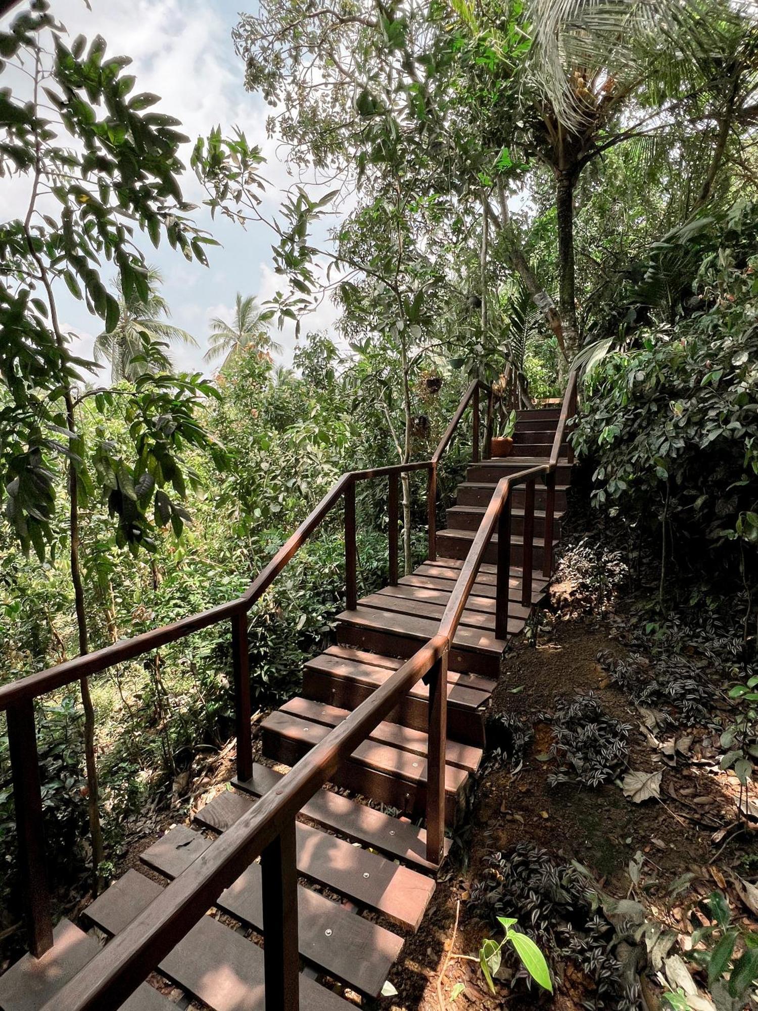 Cinnamon View Lodge Mirissa Zimmer foto